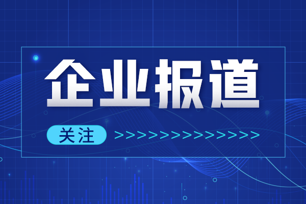 偏心半球阀-手动偏心半球阀-不锈钢偏心半球阀